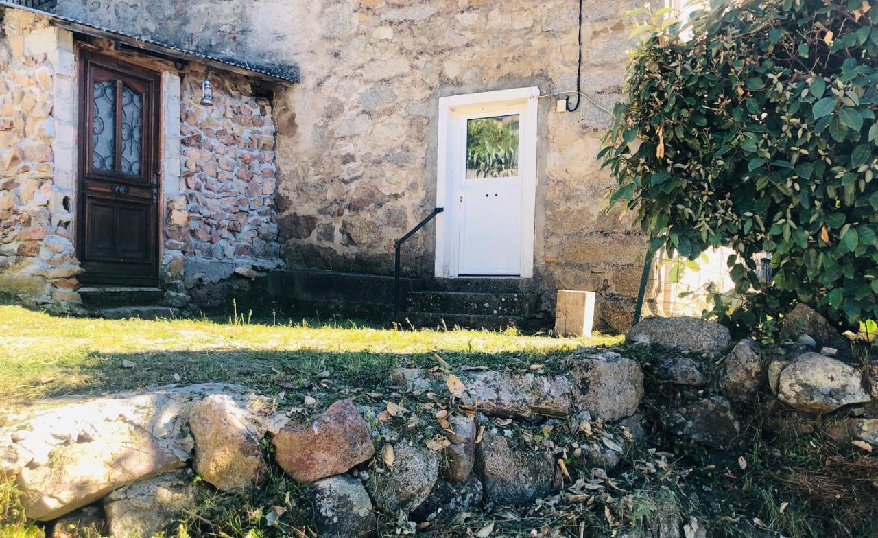 Bas De Maison * Olivese